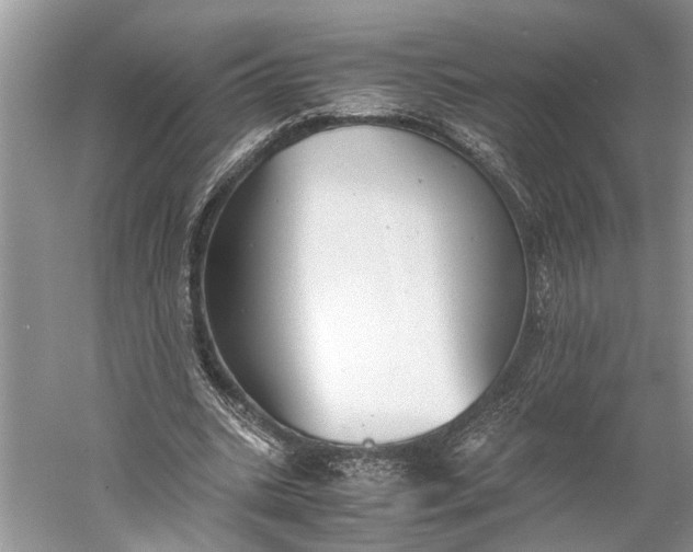 X0000060550535200511171541