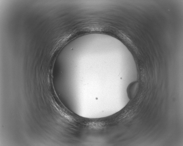 X0000060550537200511171541