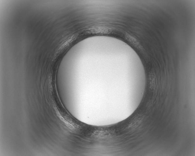 X0000060550538200511171541