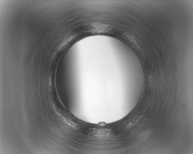 X0000060550539200511171541