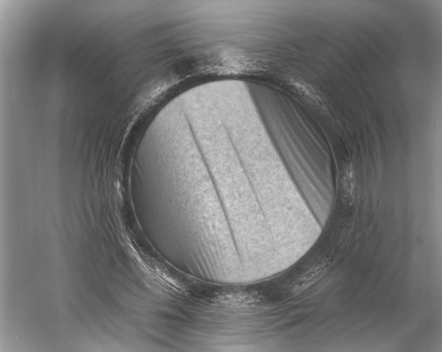 X0000060550540200511171541