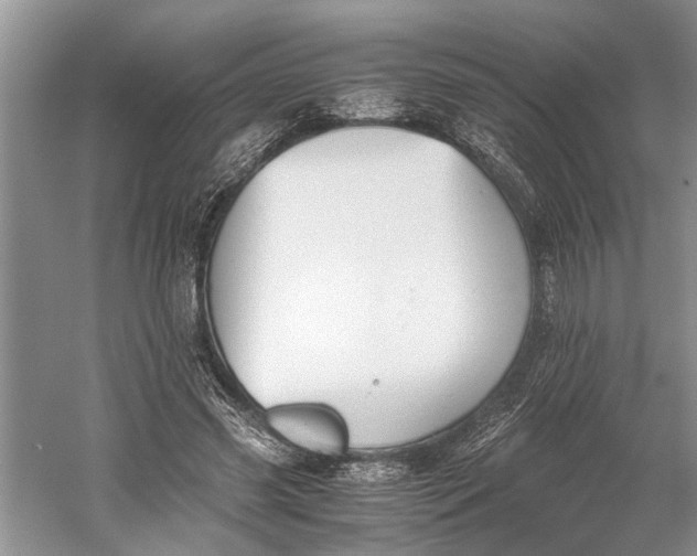 X0000060550541200511171541