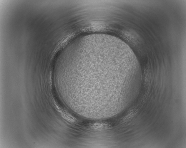 X0000060550542200511171541