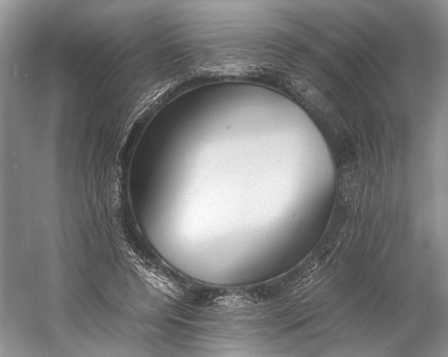 X0000060550544200511171541