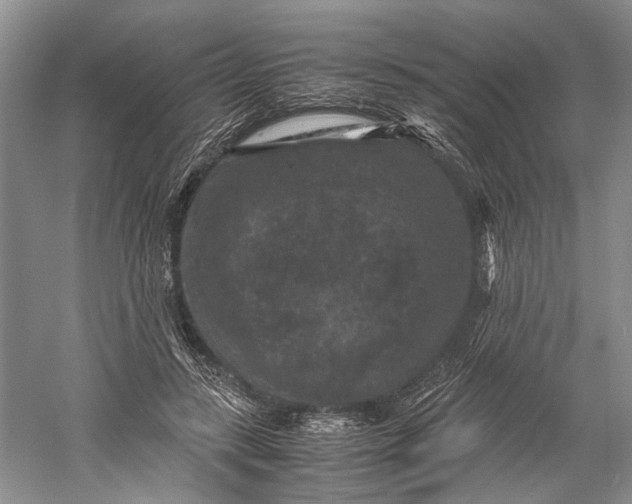 X0000060550547200511171541