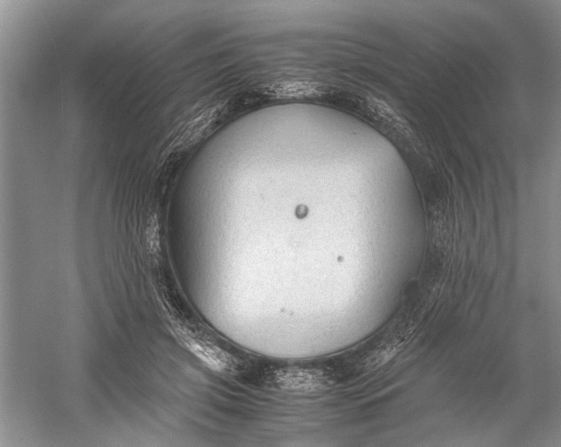 X0000060550549200511171541