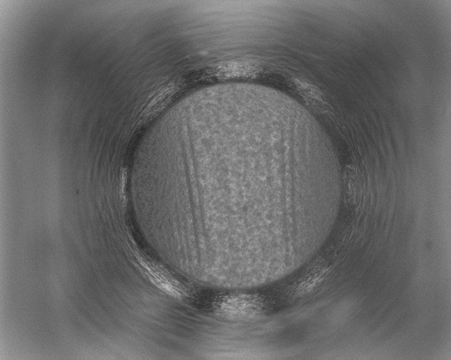 X0000060550550200511171541