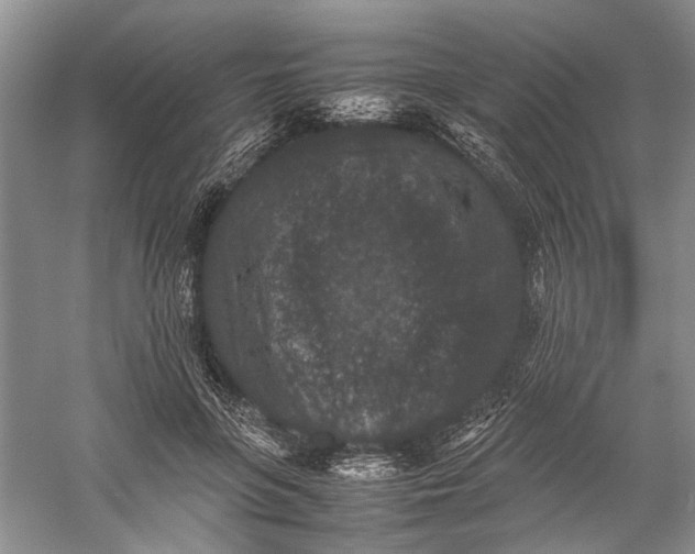 X0000060550551200511171541