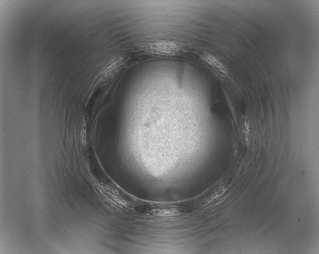 X0000060550552200511171541