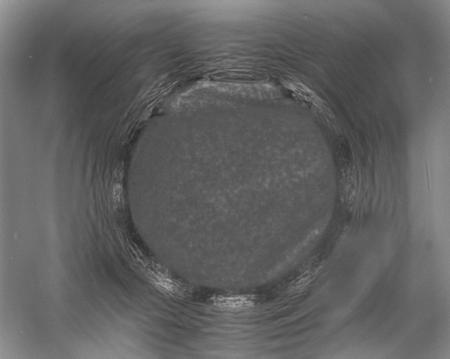 X0000060550553200511171541