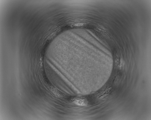 X0000060550555200511171541