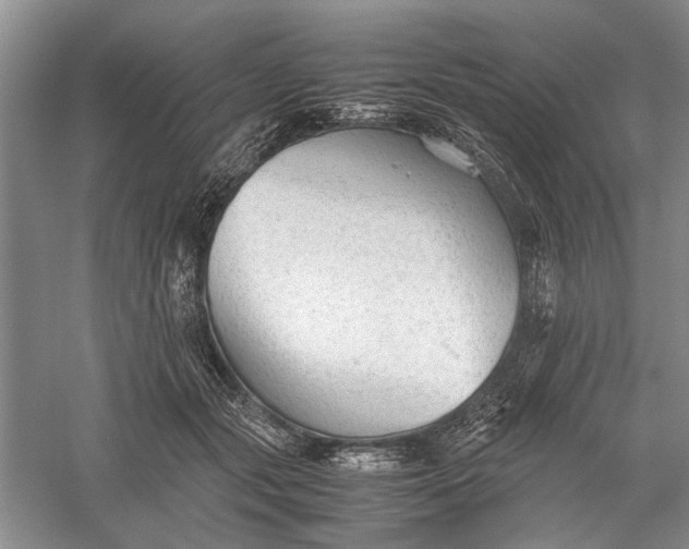 X0000060550557200511171541