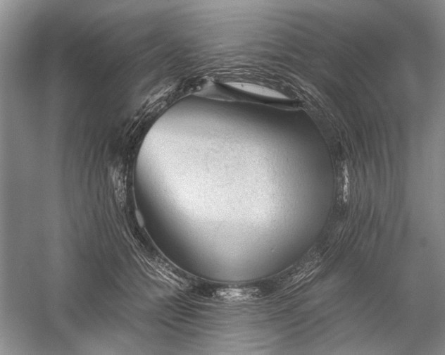 X0000060550558200511171541