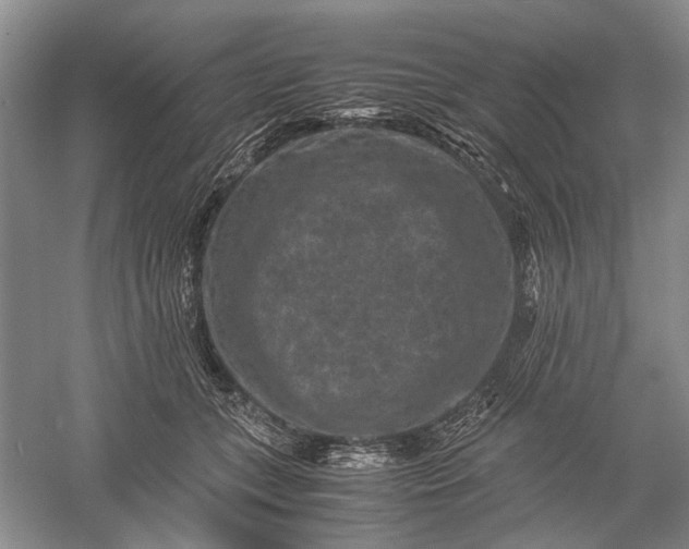 X0000060550559200511171541