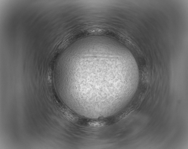 X0000060550561200511171542