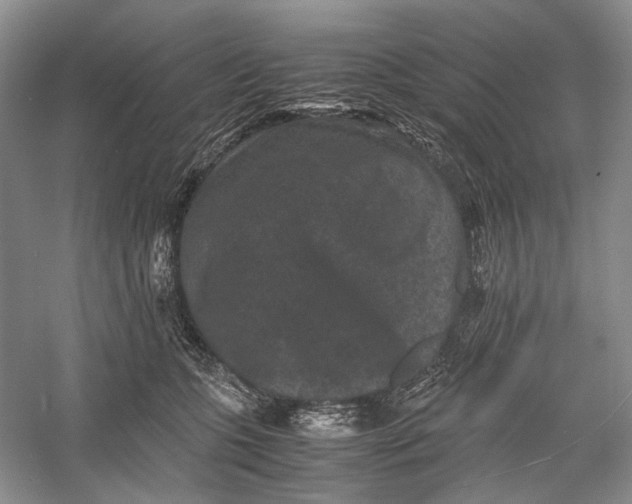 X0000060550563200511171542