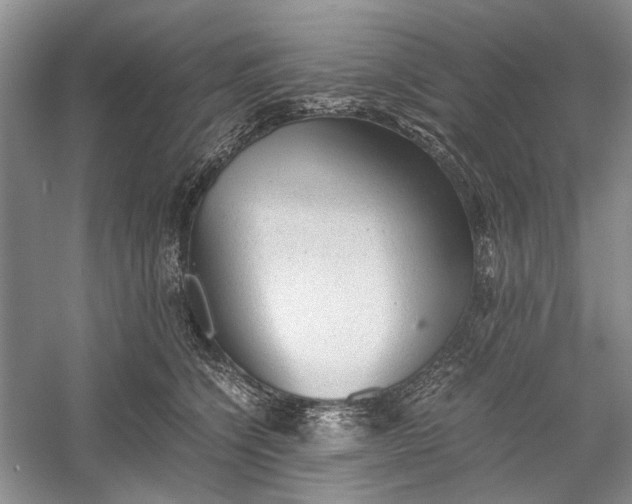 X0000060550564200511171542