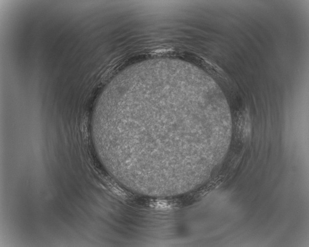 X0000060550565200511171542