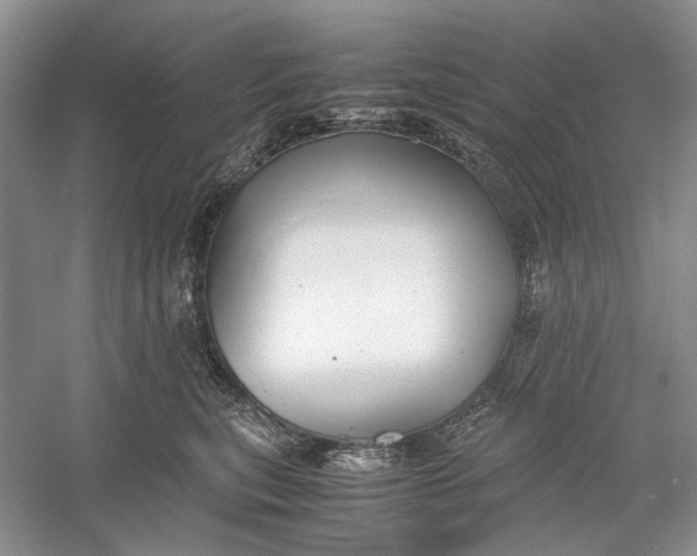 X0000060550567200511171542