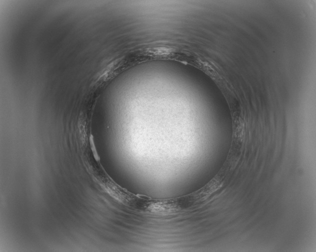 X0000060550568200511171542