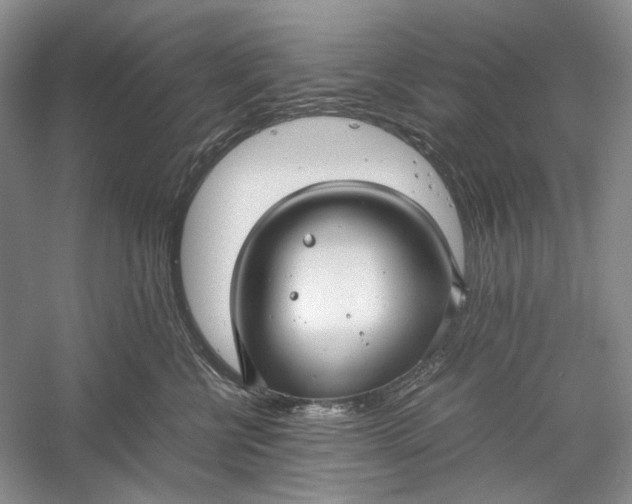 X0000060550570200511171542