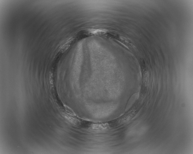 X0000060550571200511171542