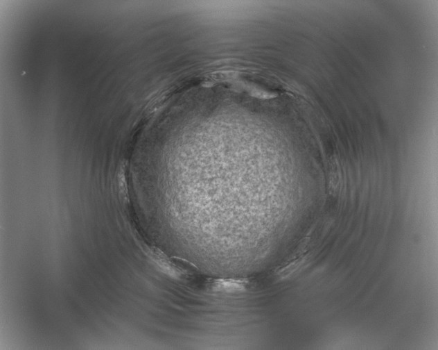 X0000060550573200511171542