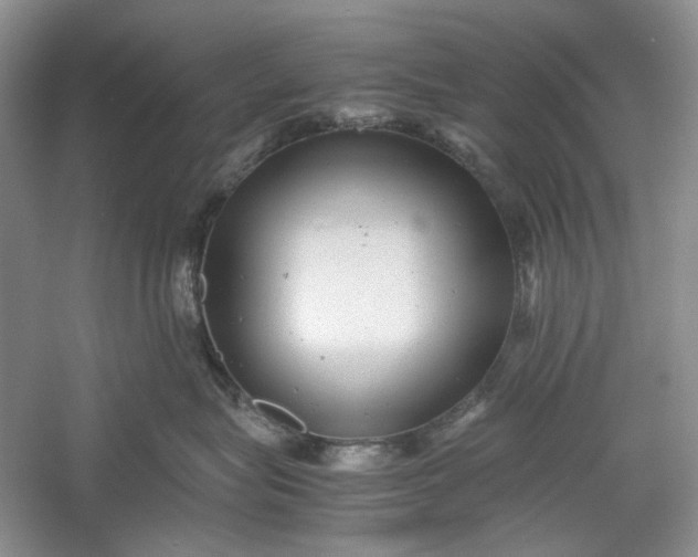 X0000060550575200511171542