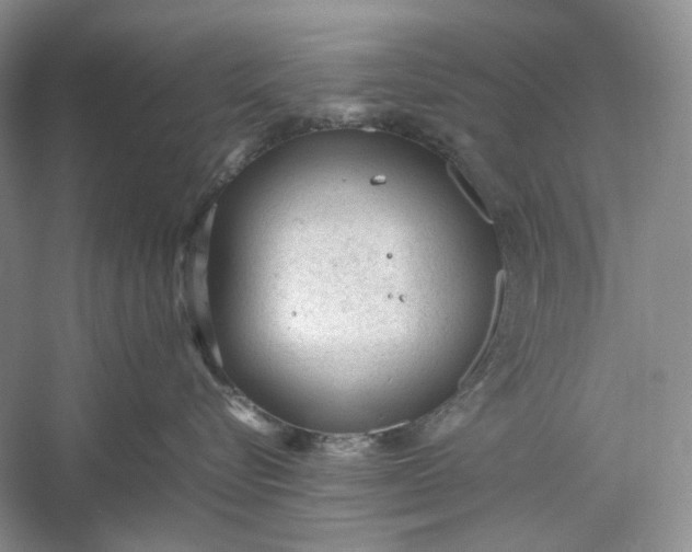 X0000060550576200511171542