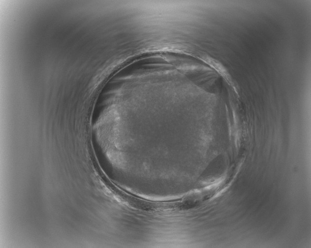 X0000060550577200511171541