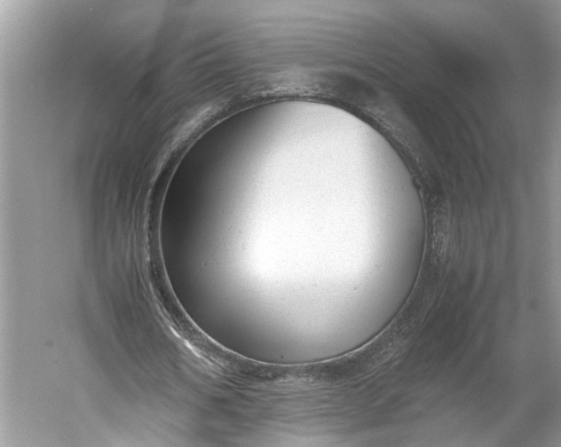 X0000060550578200511171541