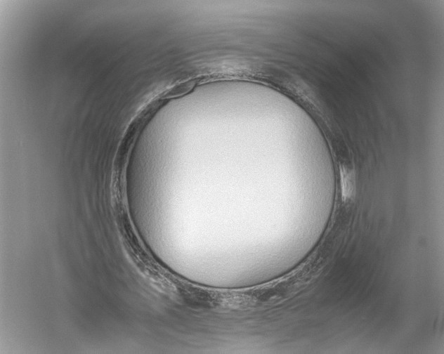 X0000060550579200511171541