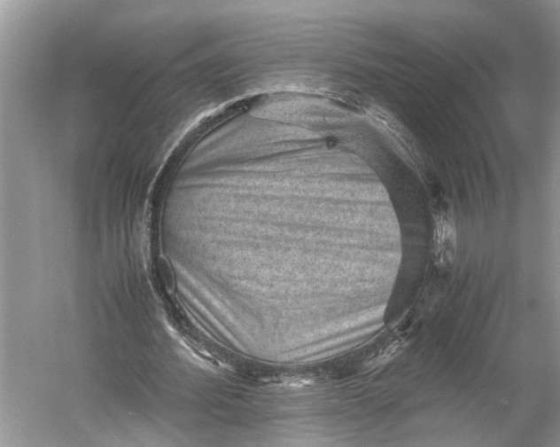 X0000060550580200511171541