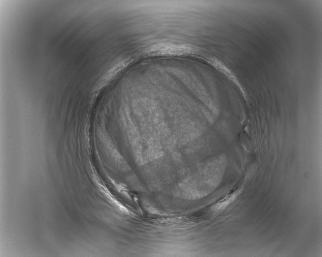 X0000060550581200511171541