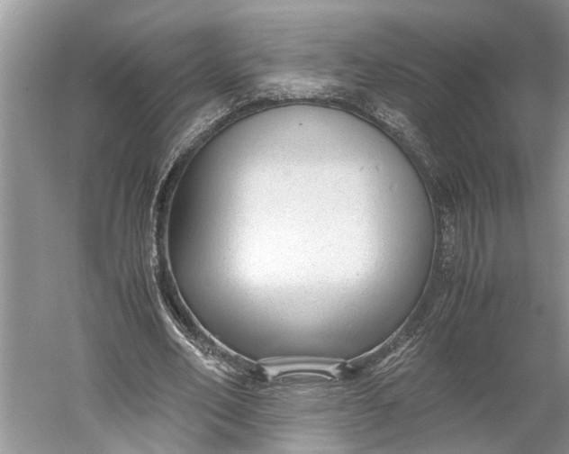 X0000060550582200511171541