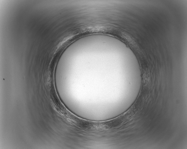 X0000060550583200511171541