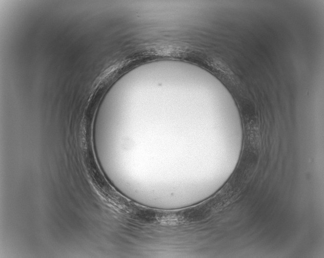 X0000060550587200511171541