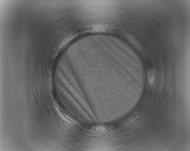 X0000060550588200511171541