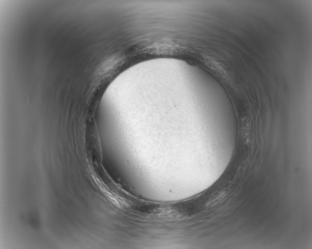 X0000060550589200511171541