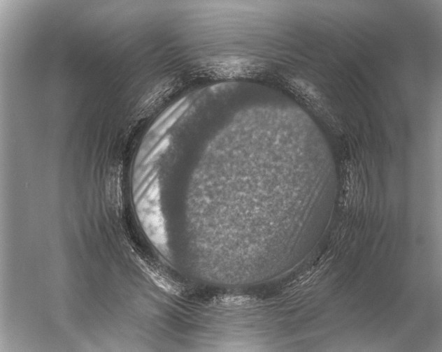 X0000060550590200511171541