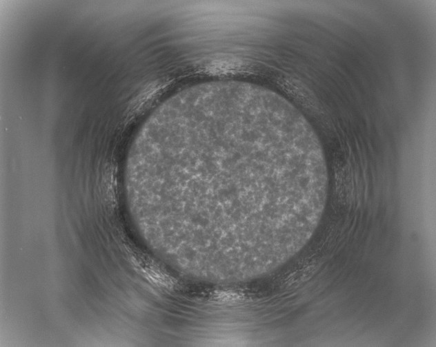 X0000060550592200511171541