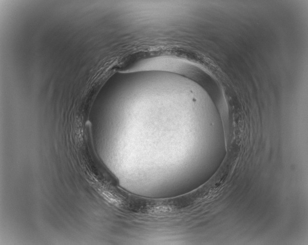 X0000060550593200511171541