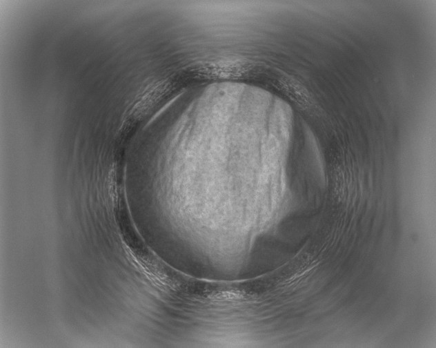 X0000060550594200511171541