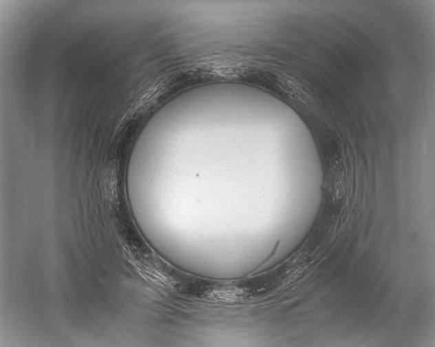 X0000060550595200511171541