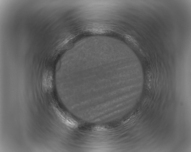 X0000060550596200511171541