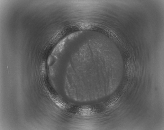 X0000060550598200511171541