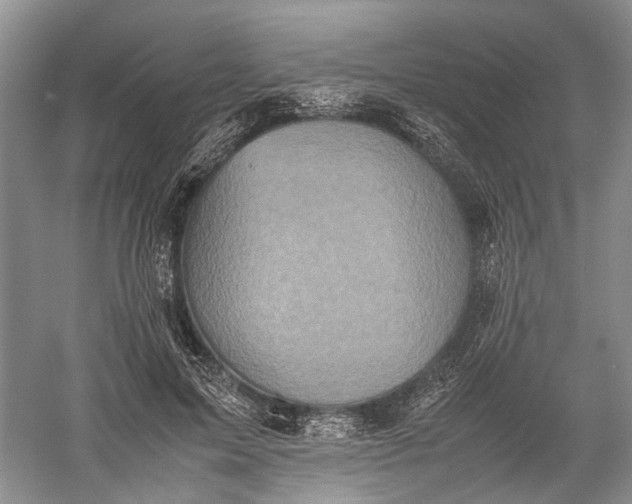 X0000060550599200511171541