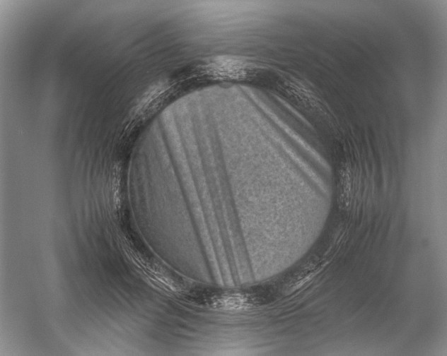 X0000060550600200511171541