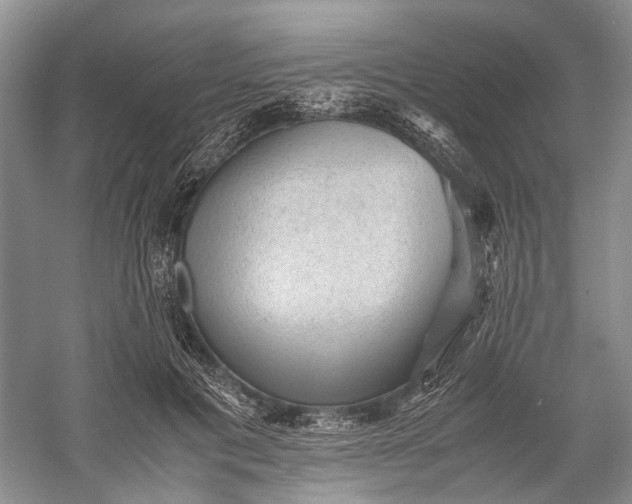 X0000060550601200511171541