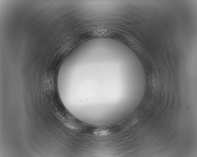 X0000060550602200511171541